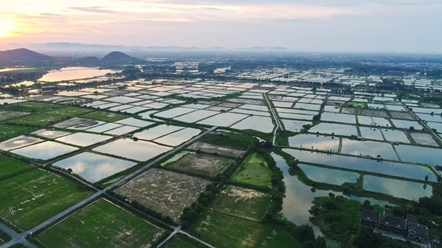 内99c39eca142e4ef9_副本.jpg 内99c39eca142e4ef9_副本.jpg