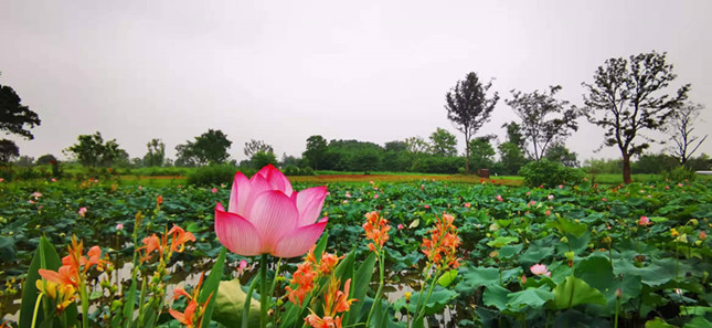 内bae89401ac8a7d_副本.jpg 内bae89401ac8a7d_副本.jpg