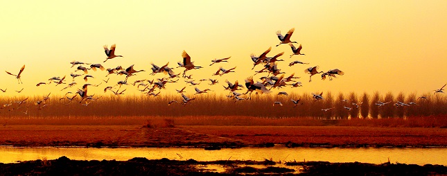 微信图片_20200820195617.jpg 微信图片_20200820195617.jpg