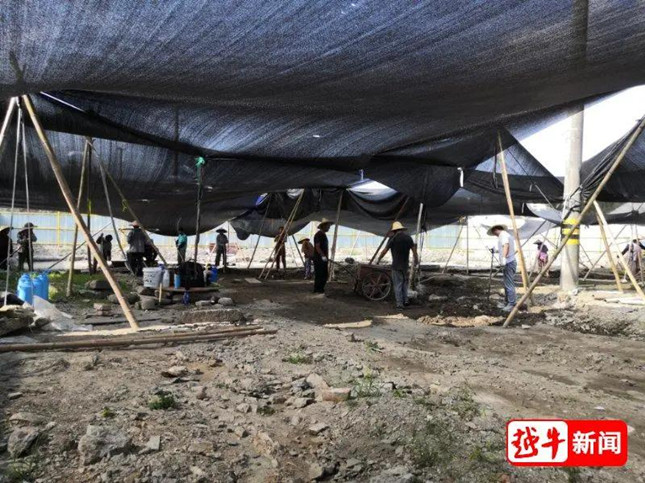 nei 25151542_副本.jpg