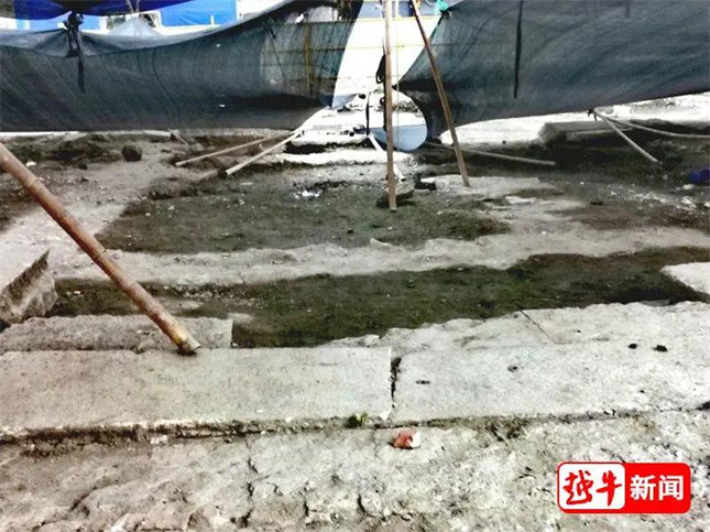 nei 825151550_副本.jpg