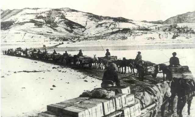 9379ca925e824f85bef5534426fc6b3e.jpg 9379ca925e824f85bef5534426fc6b3e.jpg