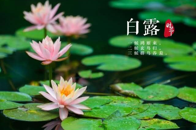 微信图片_20200906222657.jpg 微信图片_20200906222657.jpg