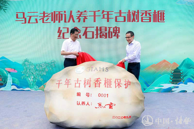 nei  687b8ee8ae1d35_副本.jpg