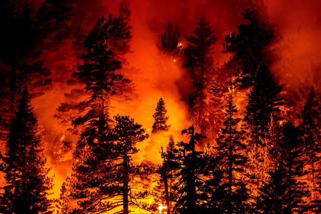 d8f9d72a6059252db3d2580c00e9453c5ab5b96e.jpeg d8f9d72a6059252db3d2580c00e9453c5ab5b96e.jpeg