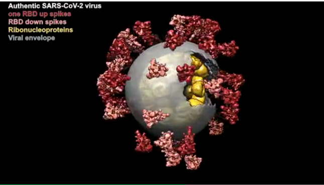 内2f475195fc5b9d_副本.png 内2f475195fc5b9d_副本.png