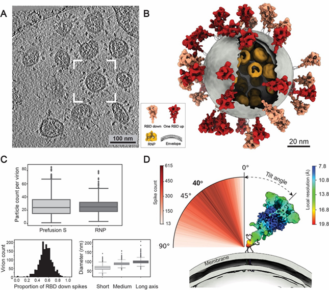 内916104819_副本.png 内916104819_副本.png