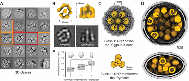 内16105036_副本.png 内16105036_副本.png