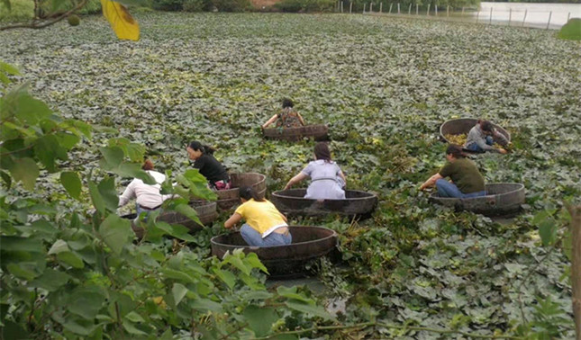 内abbba5f182ba25_副本.jpg 内abbba5f182ba25_副本.jpg