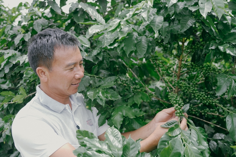 咖农蔡晴开 2.jpg 咖农蔡晴开 2.jpg