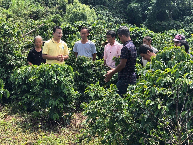 农艺师王昌江+咖啡农.jpg 农艺师王昌江+咖啡农.jpg
