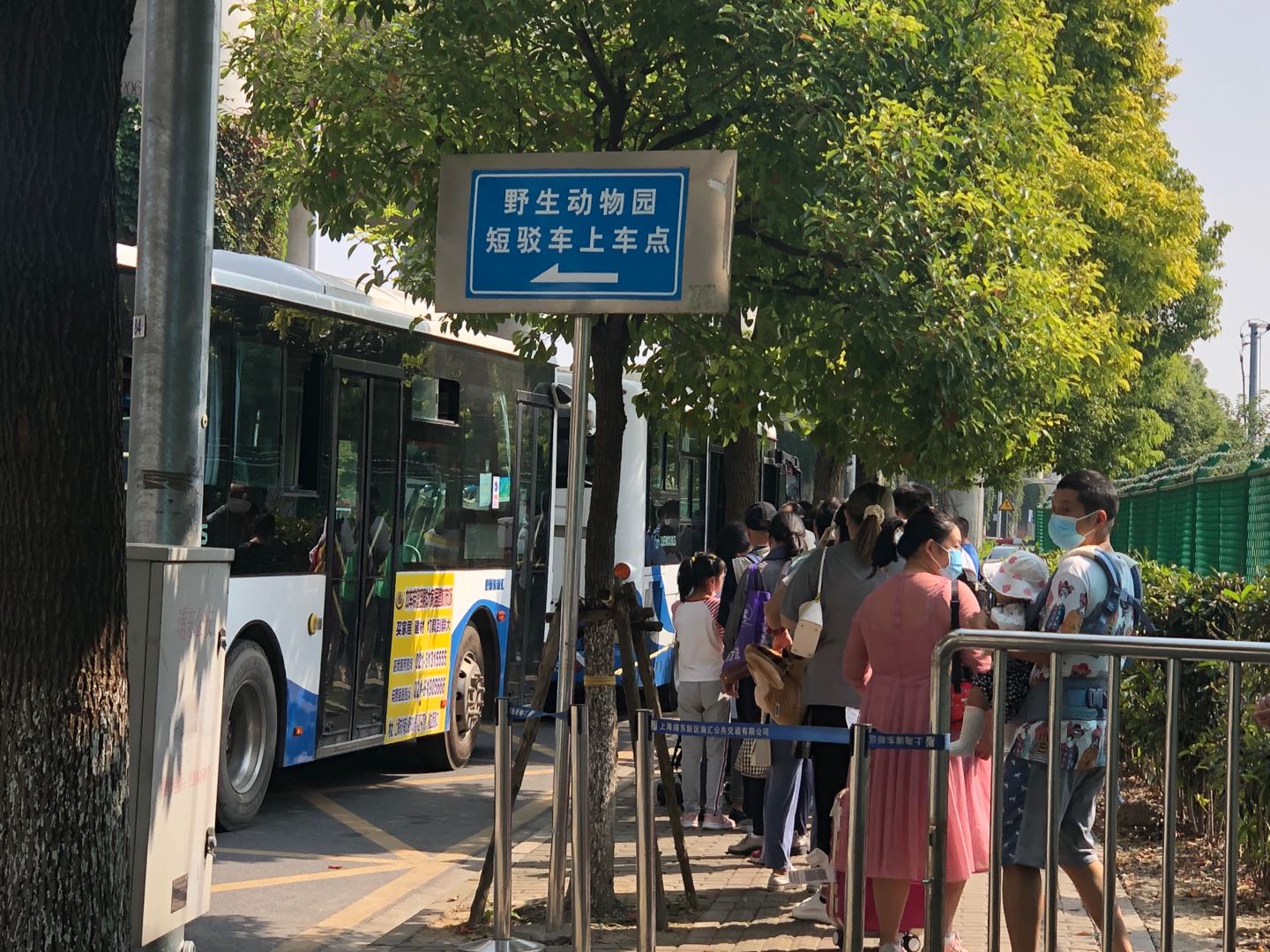 南汇公交增开短驳车，服务野生动物园游客出行