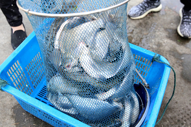 微信图片_20201017183102.jpg 微信图片_20201017183102.jpg