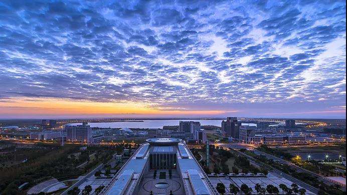 timg (1).jpg timg (1).jpg