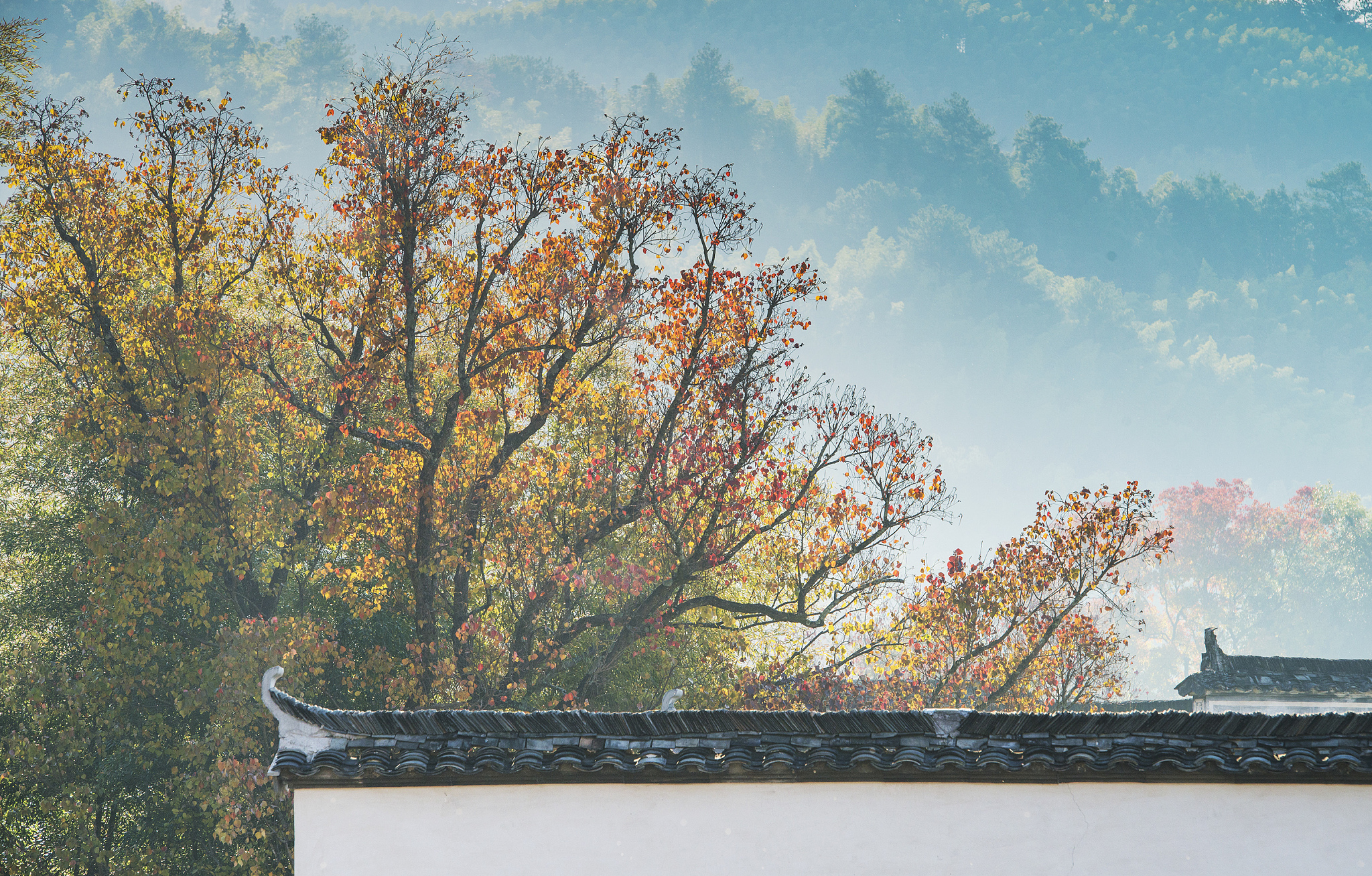 有一种秋色,叫“塔川”.jpg 有一种秋色,叫“塔川”.jpg