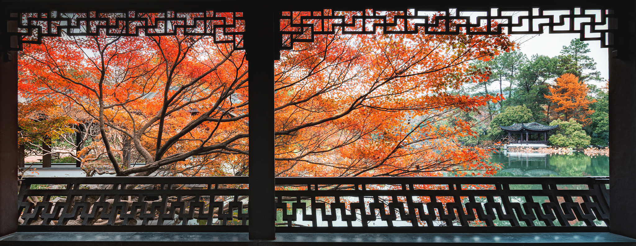 西湖秋色.jpg 西湖秋色.jpg