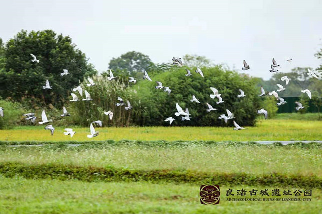 内38653a755464db77_副本.jpg 内38653a755464db77_副本.jpg