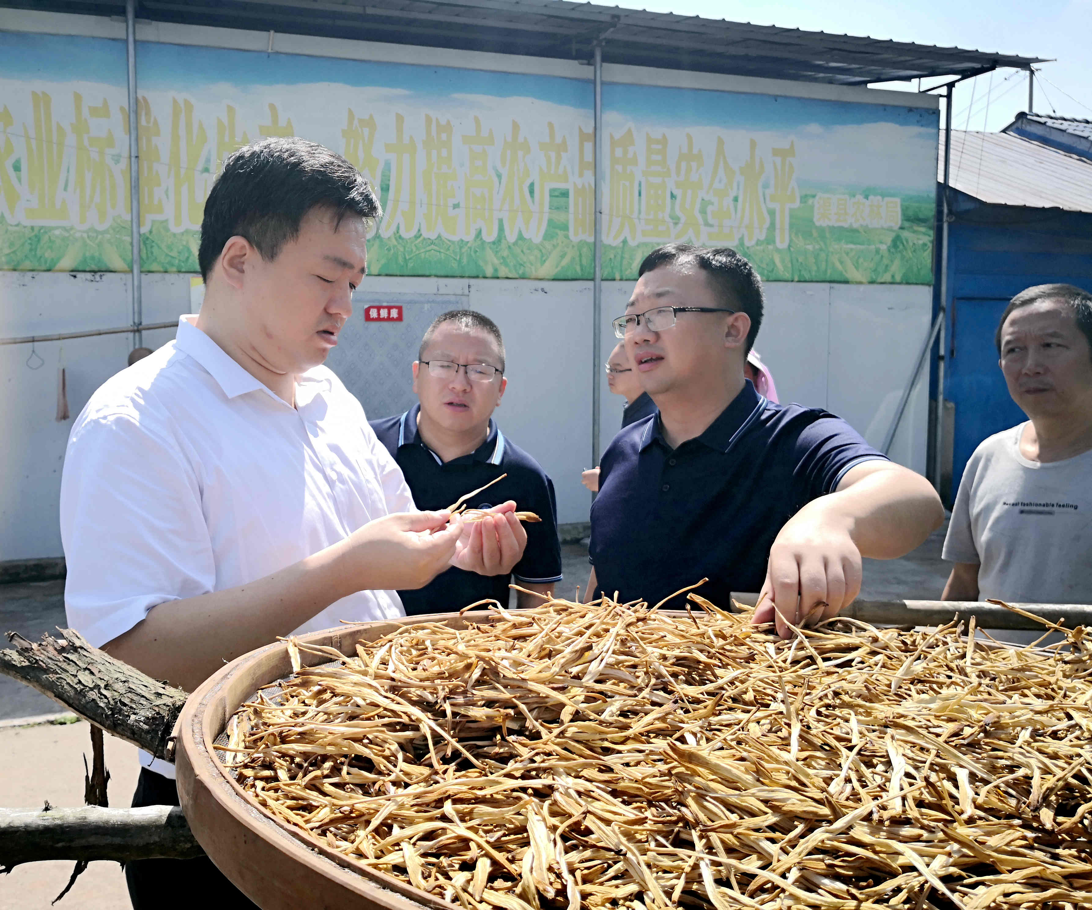 带队实地考察农业产业发展情况.jpg 带队实地考察农业产业发展情况.jpg