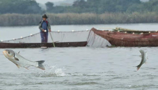 内ae3a1c305e6b9_副本.jpg 内ae3a1c305e6b9_副本.jpg