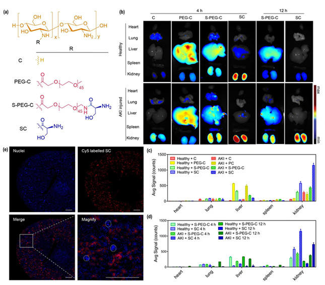 内 329919093dc2568_副本.jpg 内 329919093dc2568_副本.jpg