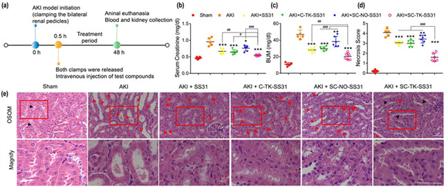 内a44c4a07a9a51abce_副本.jpg 内a44c4a07a9a51abce_副本.jpg