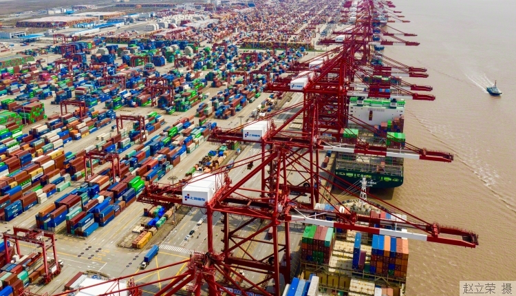 临港.jpg 临港.jpg