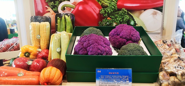 微信图片_20201120183756.jpg 微信图片_20201120183756.jpg