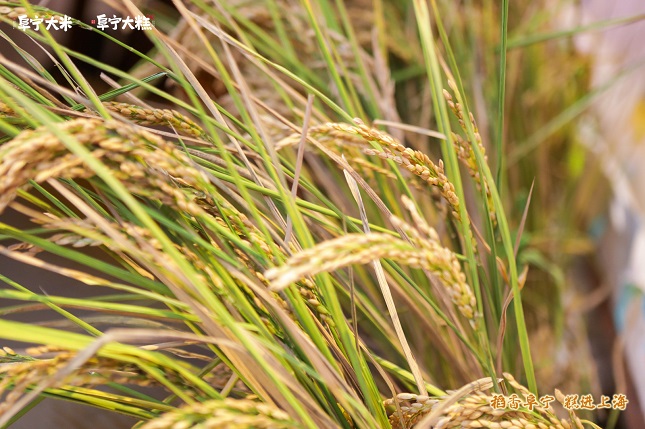 e48cb52a9c55cc128d1c91218c048c4.jpg e48cb52a9c55cc128d1c91218c048c4.jpg