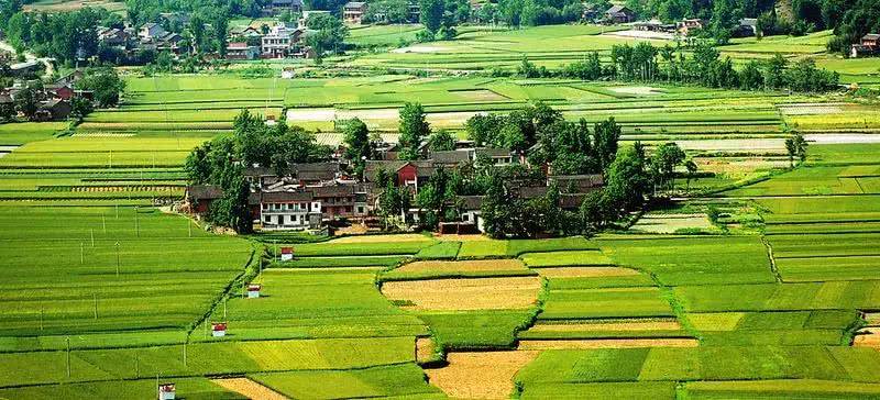 timg (1).jpg timg (1).jpg