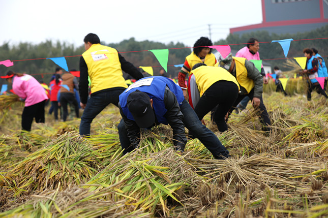 内3662a354b76b4de0_副本.jpg 内3662a354b76b4de0_副本.jpg