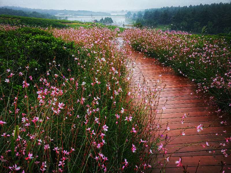 谢震霖摄影1.jpg 谢震霖摄影1.jpg