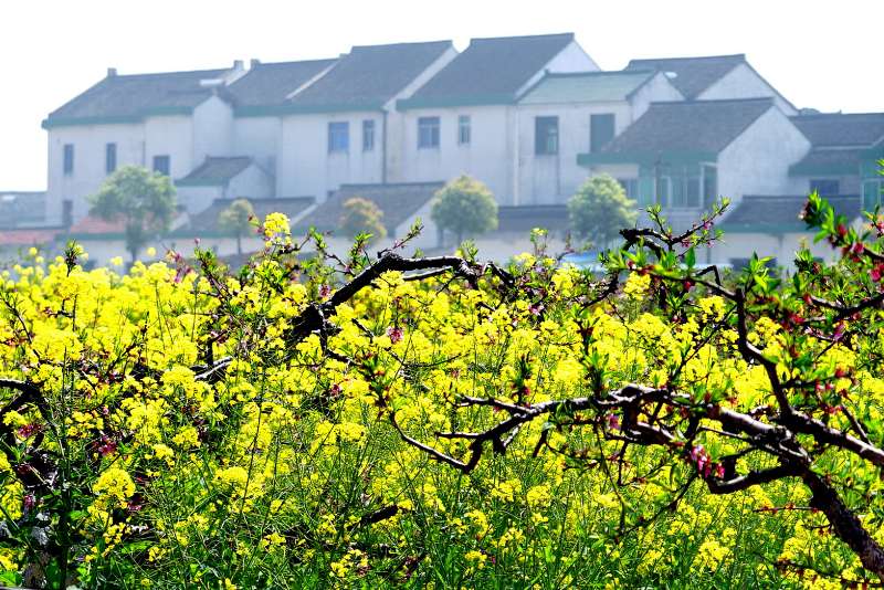 谢震霖摄影2.jpg 谢震霖摄影2.jpg