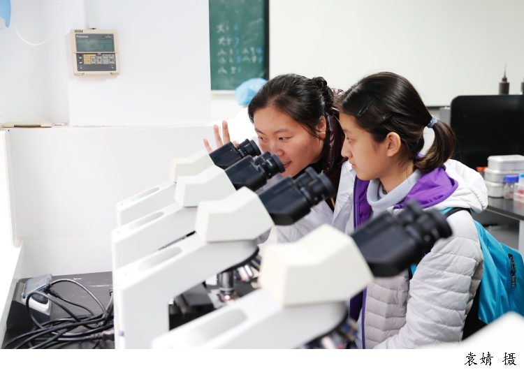 535719_w750.jpg 535719_w750.jpg