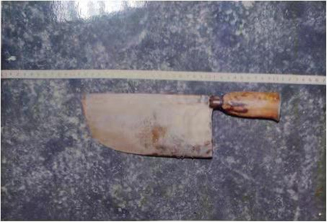 nei 221d7481f35e84_副本.jpg nei 221d7481f35e84_副本.jpg