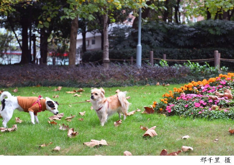 645789_w750.jpg 645789_w750.jpg