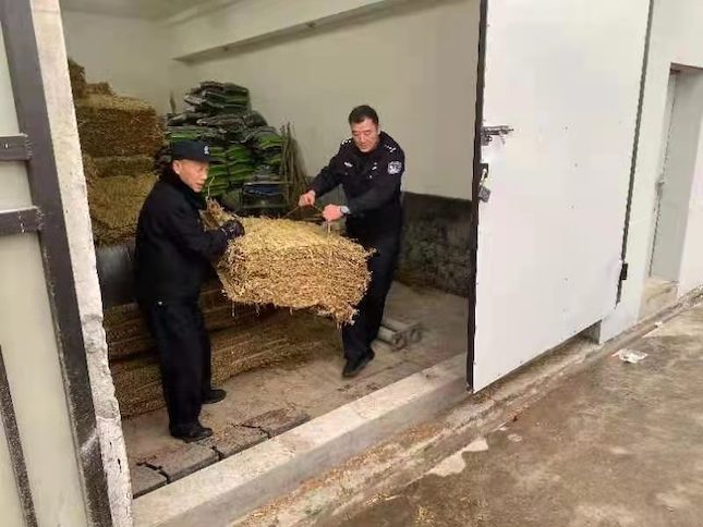 WechatIMG7668.jpeg WechatIMG7668.jpeg