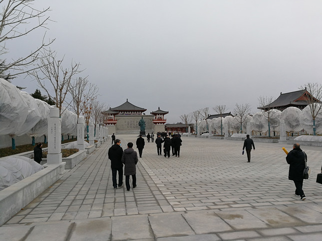 IMG_20201229_110423_1.jpg IMG_20201229_110423_1.jpg