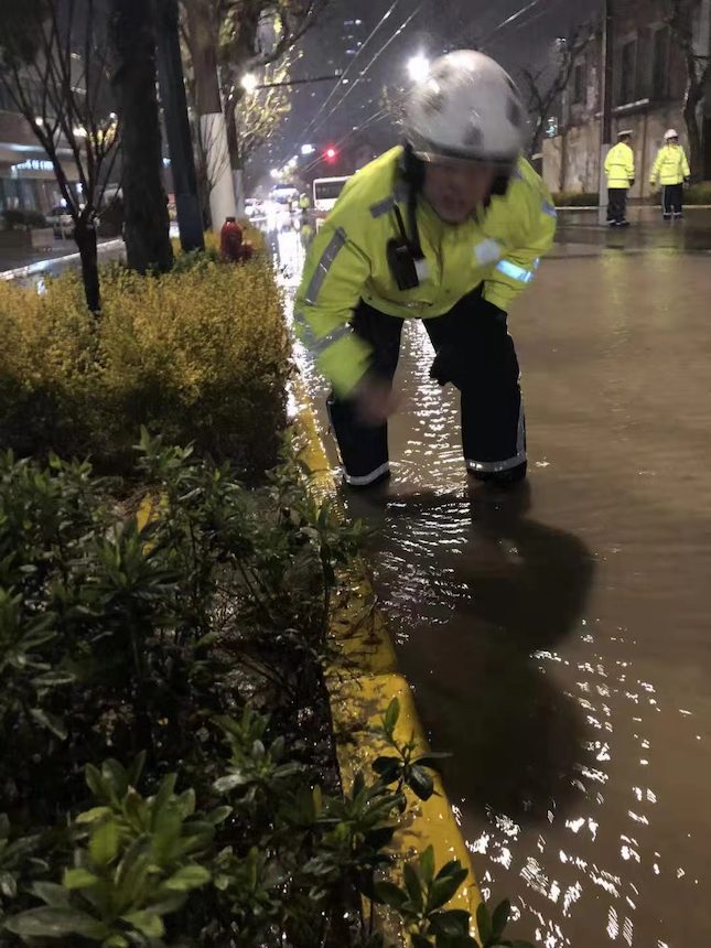 WechatIMG7771.jpeg WechatIMG7771.jpeg