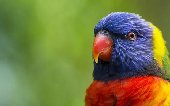 内103115801_副本.jpg 内103115801_副本.jpg