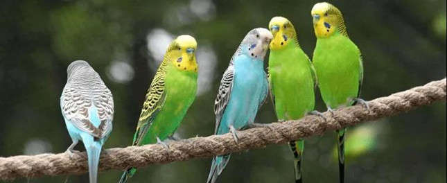 内3120046_副本.jpg 内3120046_副本.jpg