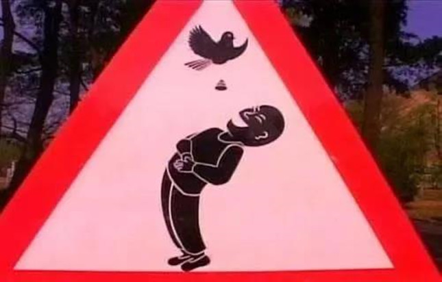 内103120726_副本.jpg 内103120726_副本.jpg