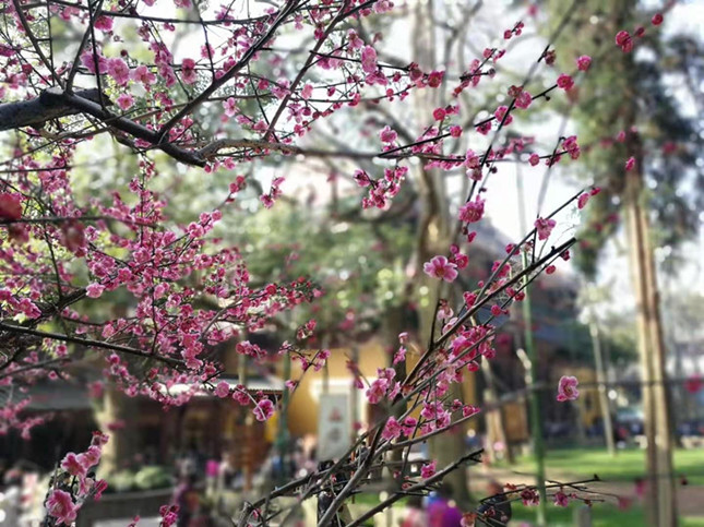 8d36f61002e078e61711bedf66_副本.jpg 8d36f61002e078e61711bedf66_副本.jpg