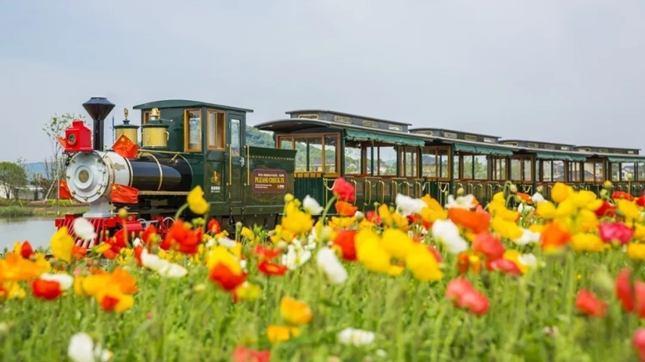 内7152520_副本.png 内7152520_副本.png