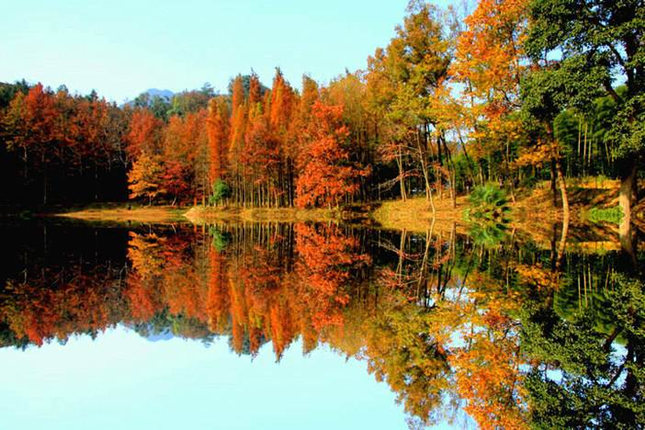 内107152537_副本.png 内107152537_副本.png