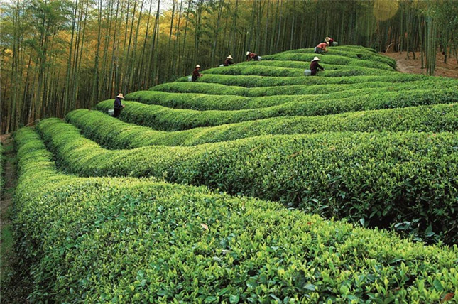 内0107152618_副本.jpg 内0107152618_副本.jpg