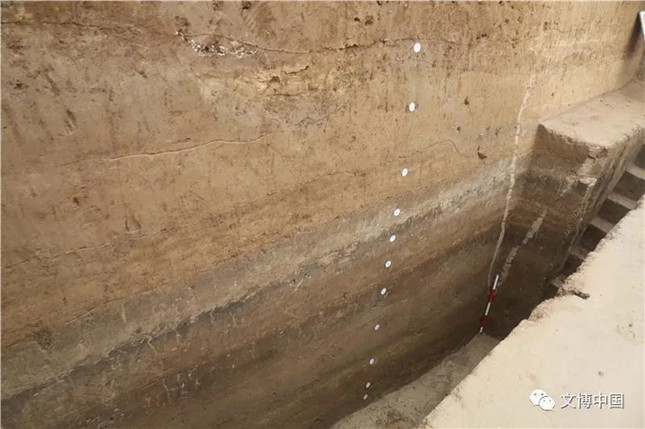 15号地点 兰池水淤泥堆积点试掘.jpg 15号地点 兰池水淤泥堆积点试掘.jpg