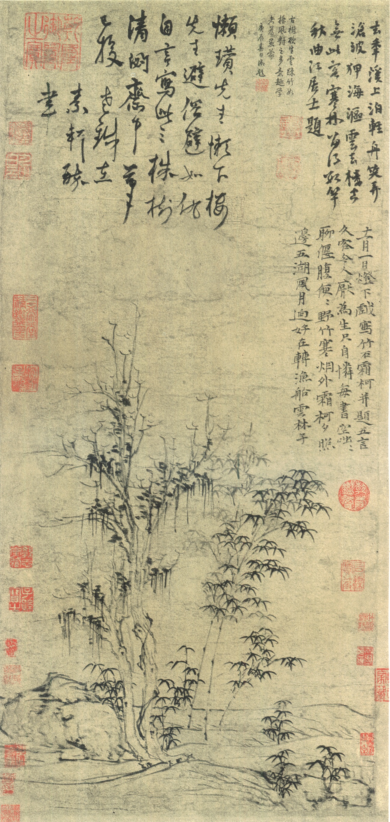 倪云林画竹石霜柯图.jpg 倪云林画竹石霜柯图.jpg