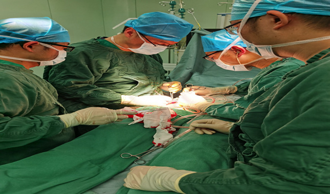 武大人医01_副本.jpg 武大人医01_副本.jpg