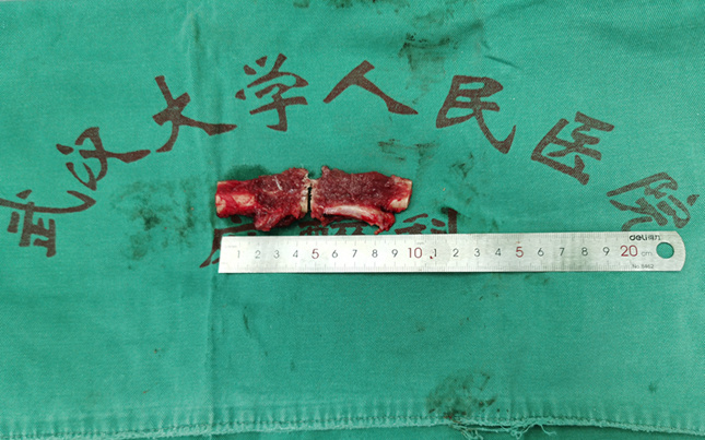 武大02.jpg 武大02.jpg