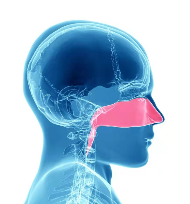 nei f685a9288df8cfa1e_副本.jpg nei f685a9288df8cfa1e_副本.jpg